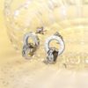 Silver Plated Stainless Steel CZ Stone with Iconic Star Frame Decor Earrings